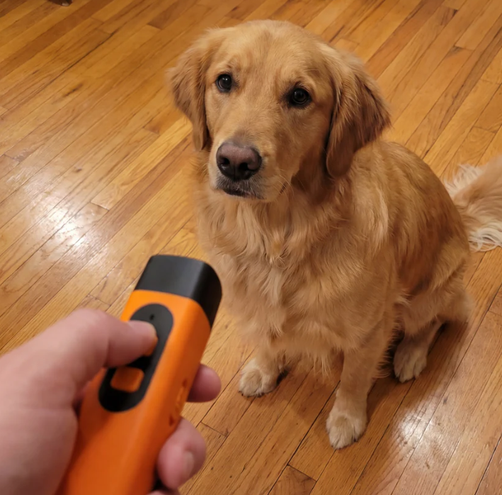 BarkPawse Remote